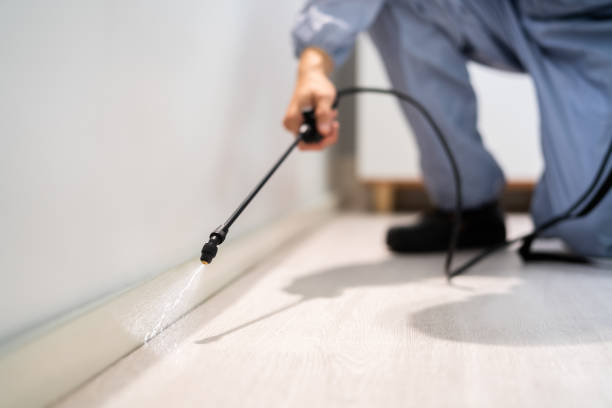 Licensed Ant Control service in Hudson County County, NJ - Nex Pest Control